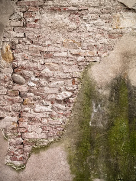 Tuscan wall — Stock Photo, Image