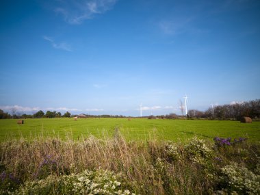 saman alanın görünümü