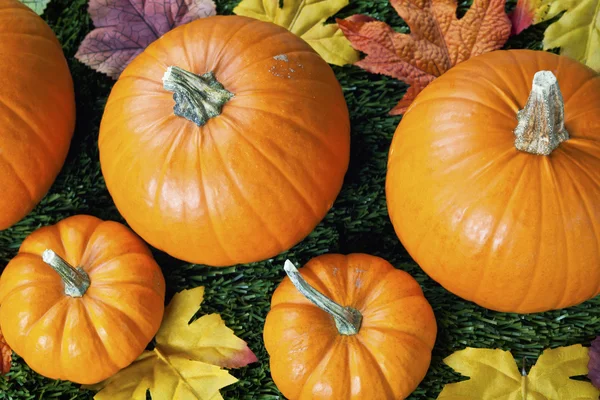 Cropped view of halloween pumpkins with autumn leaves — Stock Photo, Image