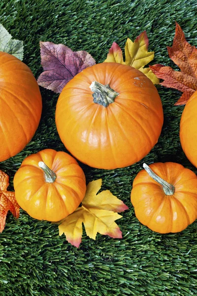 Cropped view of halloween pumpkins — Stock Photo, Image