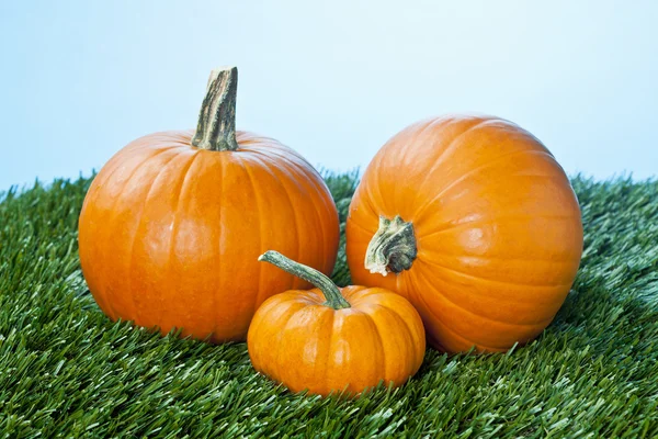 Close-up van drie pumpkins — Stockfoto