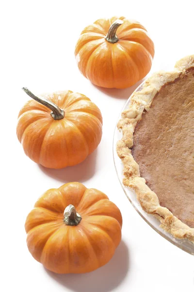 Close up shot of pumpkin pie and pumpkins — Stock Photo, Image