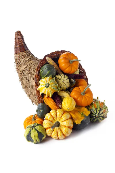 Cornucopia of gourds — Stock Photo, Image