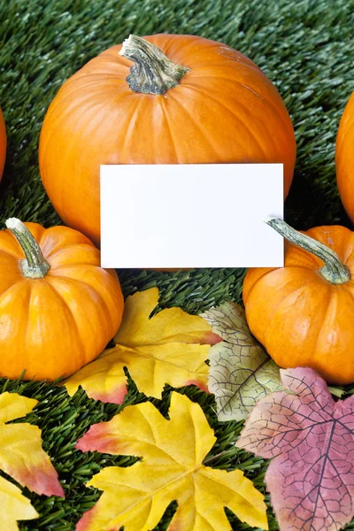 Cropped image of halloween pumpkins with placard — Stock Photo, Image