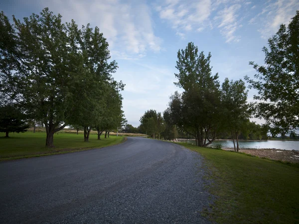 Lege weg met bomen aan de kant — Stockfoto