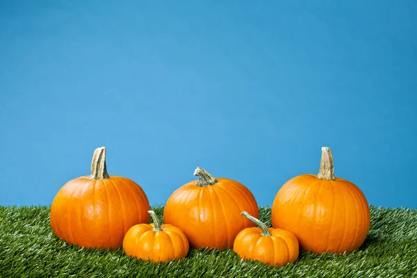 Ansicht von Halloween-Kürbissen auf blauem Hintergrund — Stockfoto