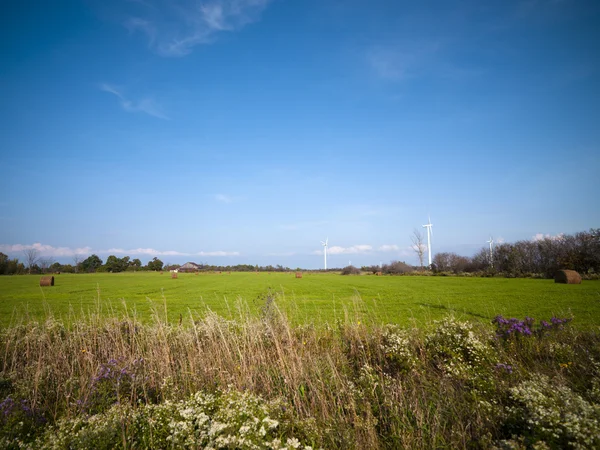 Вид сенокосного поля — стоковое фото