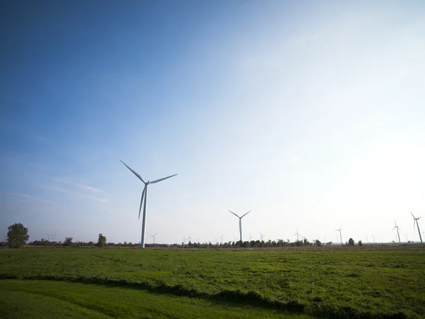 View of wind turbines at field — Stock Photo, Image