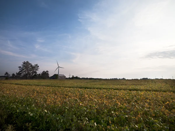 風力発電装置のフィールド — ストック写真