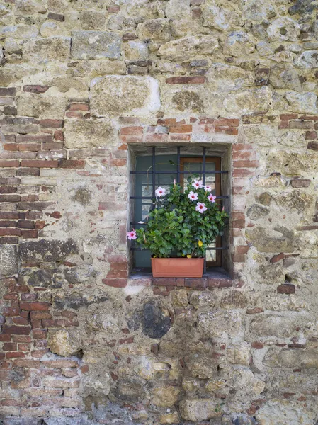 Small window in a wall — Stock Photo, Image