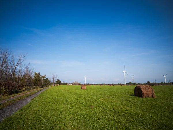 428 hay bale with wind turbine in the background — Stock Photo, Image