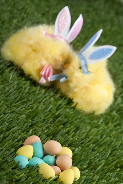 456 easter bunnies — Stock Photo, Image