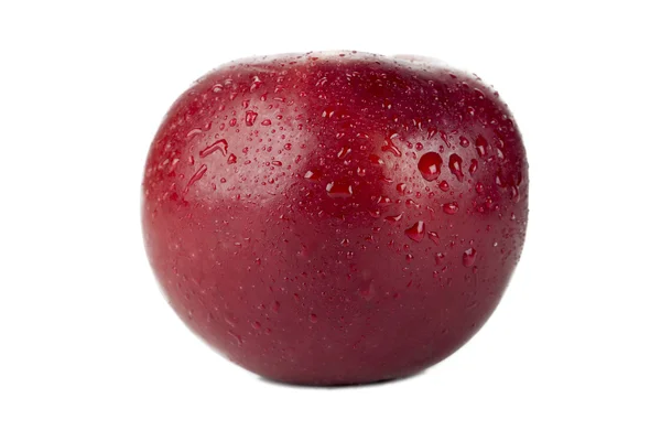 463 rött äpple — Stockfoto