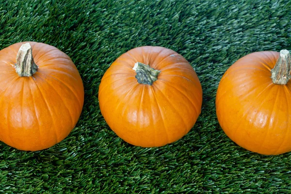 489 close-up van drie pumpkins — Stockfoto