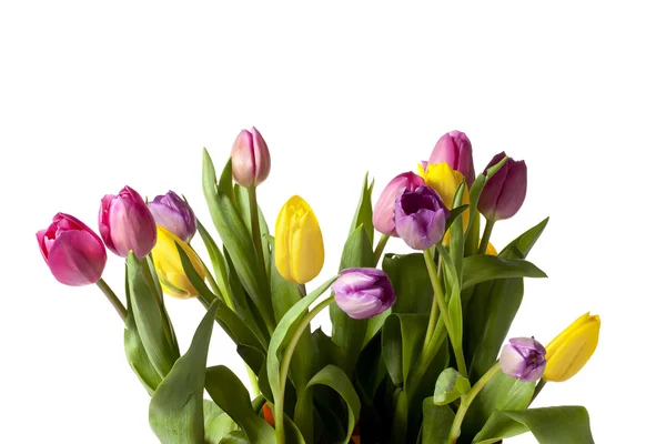 11 yellow and pink flowers — Stock Photo, Image