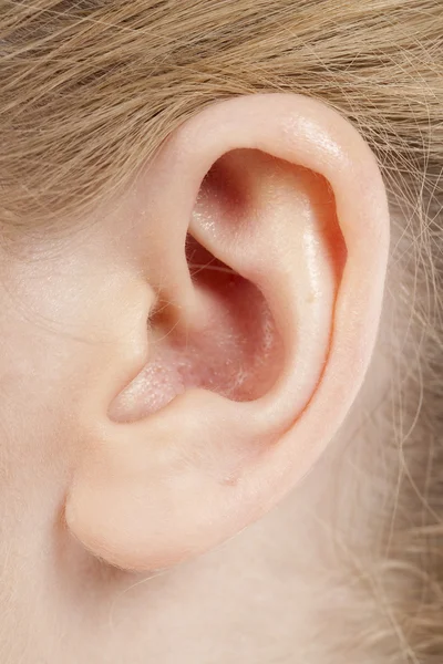 512 oreja femenina —  Fotos de Stock