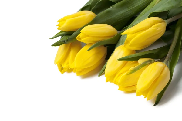 Bouquet of yellow tulips — Stock Photo, Image