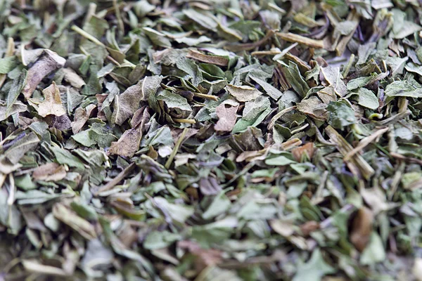 144 сушених чайних листя — стокове фото