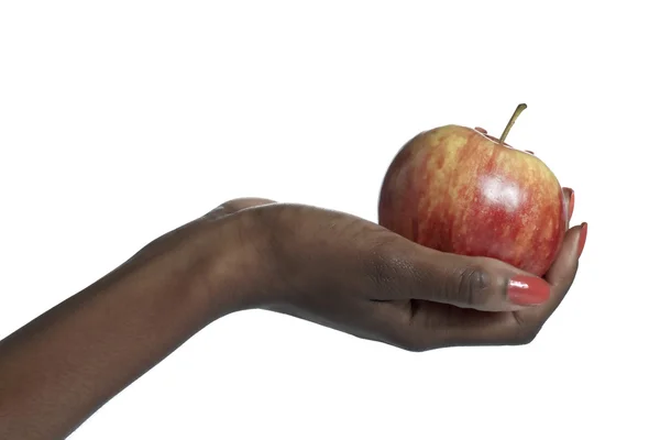 531 elini tutan apple — Stok fotoğraf