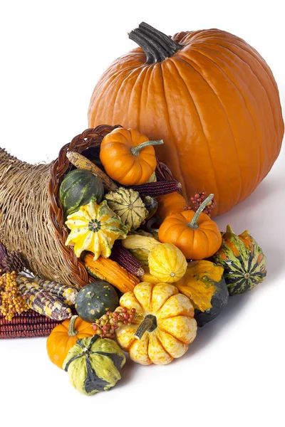 Pumpkin decoration — Stock Photo, Image