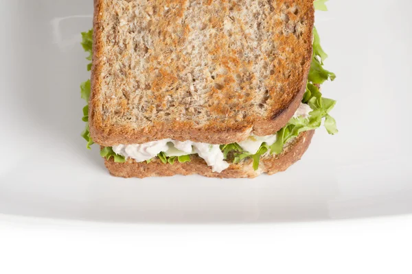 Яєчний салат з сендвіч — стокове фото