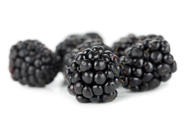 Blackberries — Stock Photo, Image