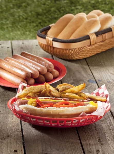 232 hotdog broodje met frietjes — Stockfoto