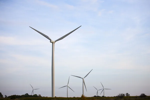 237 power generating wind mill farm — Stock Photo, Image