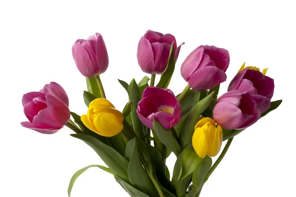 635 boeket van tulpen — Stockfoto