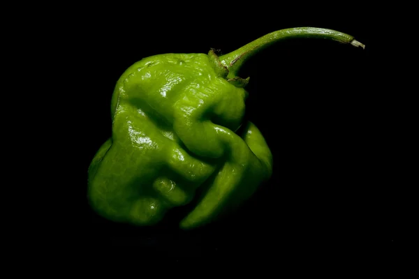 701 habanero πράσινο πιπέρι — Φωτογραφία Αρχείου