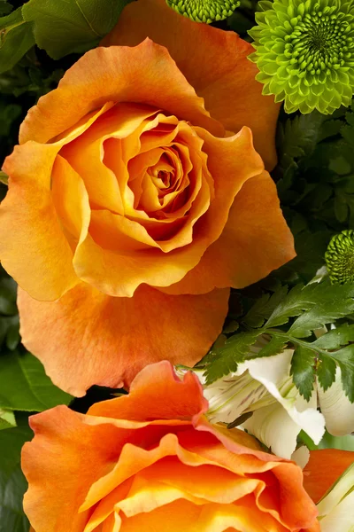 723 orange Rose — Stockfoto