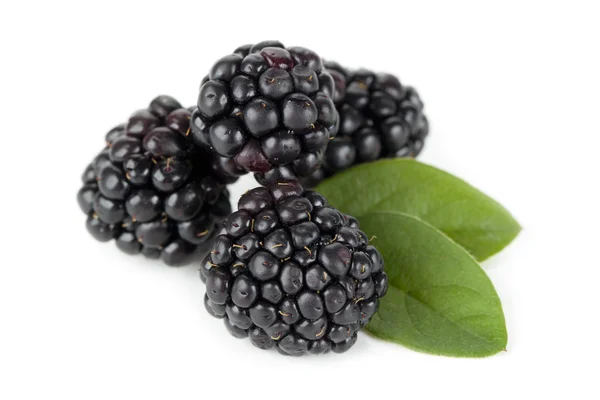 334 fresh blackberries — Stock Photo, Image