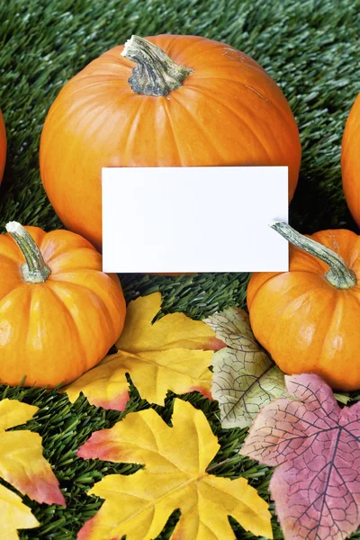 738 cropped view of halloween pumpkins with placard — Stock Photo, Image