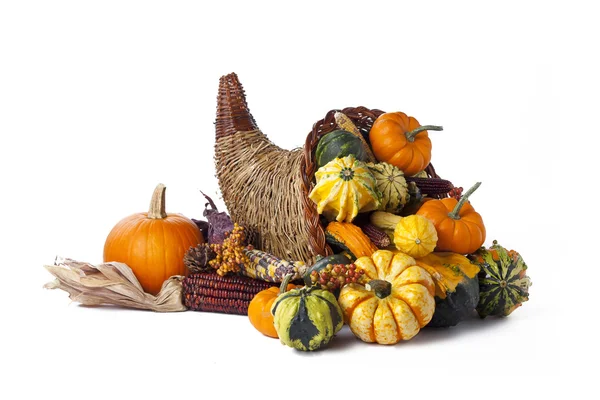 747 wicker cornucopia of vegetables — Stock Photo, Image