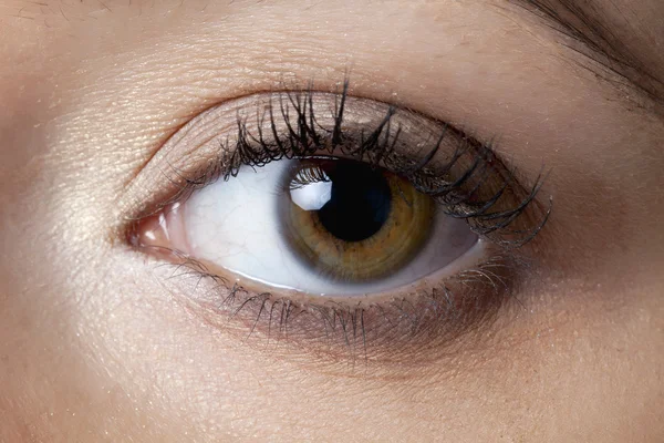 Eye make up — Stock Photo, Image