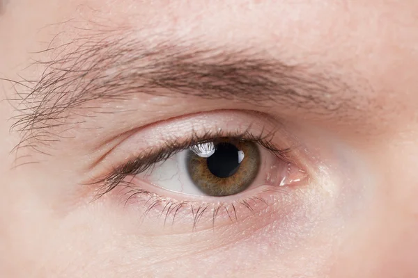 male eye