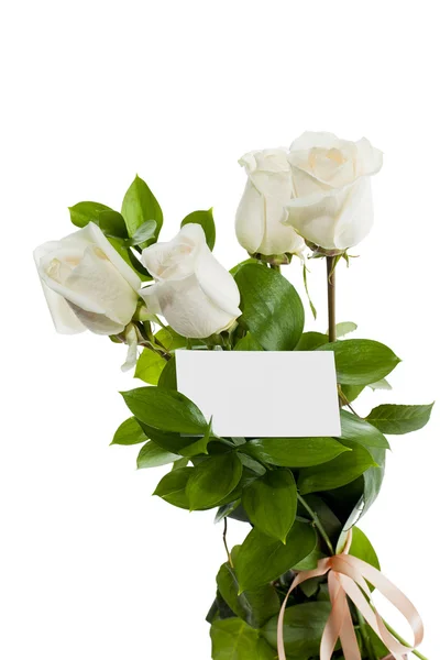689 пустая карта с белыми розами — стоковое фото