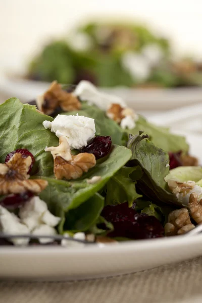 729 ensalada de verduras — Foto de Stock