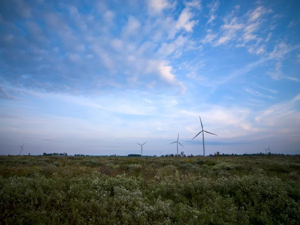 Power generera mill vindkraftpark — Stockfoto