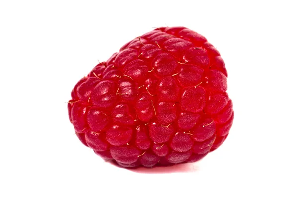 826 raspberry — Stock Photo, Image