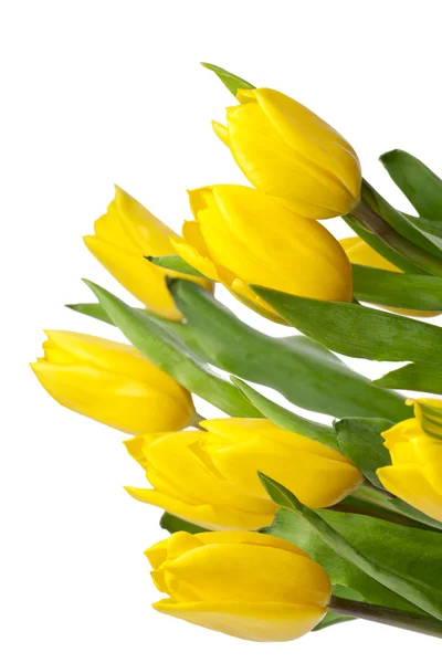 黄色のチューリップの花束 — ストック写真