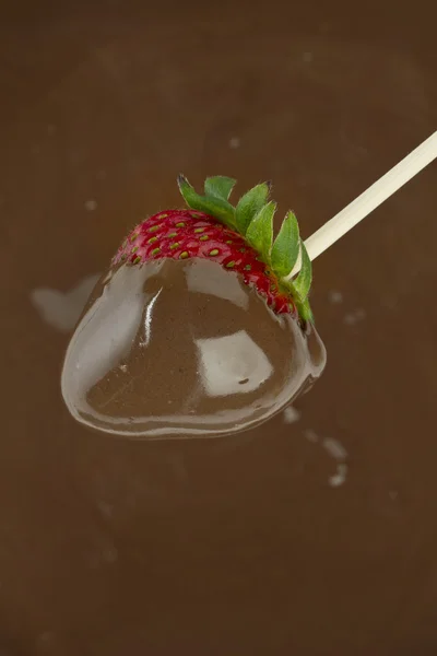 946 jordgubbe på smält choklad — Stockfoto