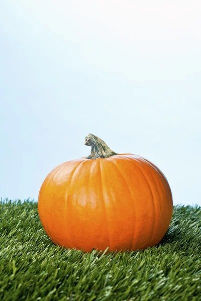 101 weergave van een halloween pompoen over gras — Stockfoto