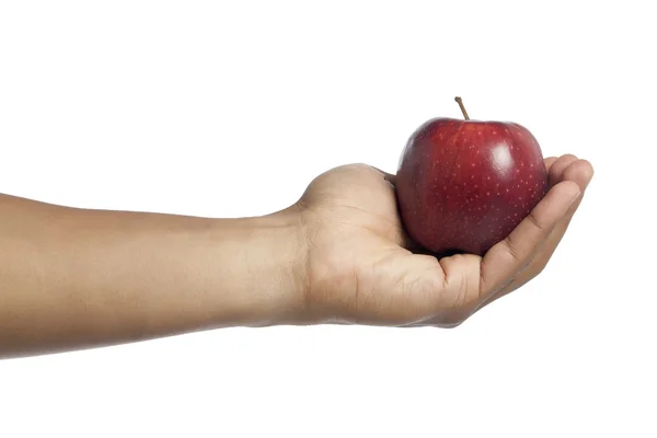104 human hand holding red apple — Stock Photo, Image