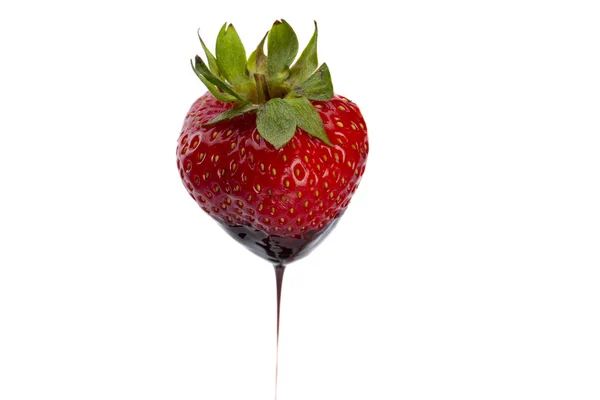 111 fraises trempées dans du chocolat — Photo