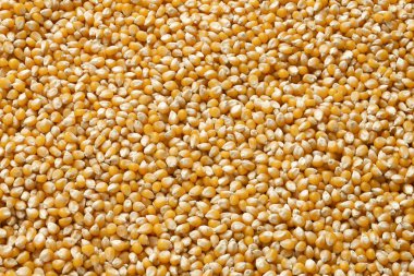 638 kurutulmuş Mısır