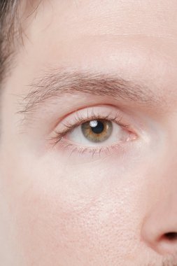 left eye of a male