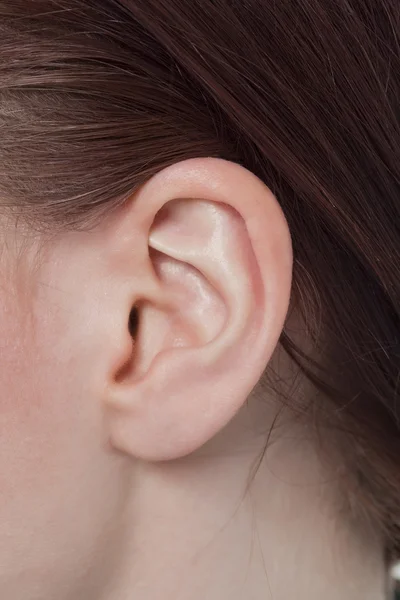 909 orecchio umano — Foto Stock