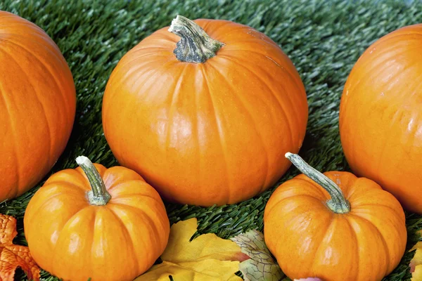 942 cropped view of halloween pumpkins — Stock Photo, Image