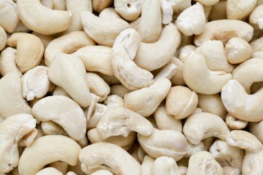 kaju fıstığı grubu